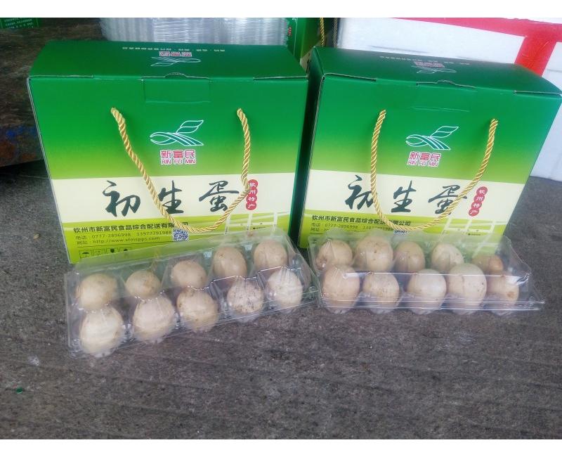 新富民初生蛋-源于天然 滋補(bǔ)有道。